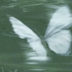 21-June（Prond.Trai5or）