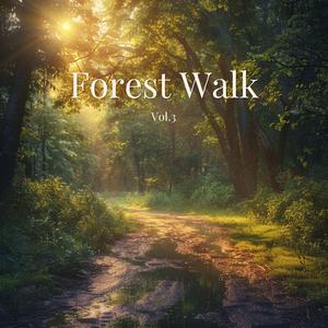 다시 걷는 발걸음 (Steps Again)