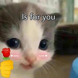 喜欢 （翻自 张悬）