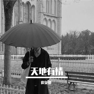 难念的经（弗拉明戈吉他版）