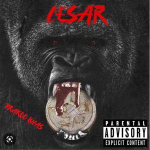 GANGSTA BACK (feat. Heimgotti & Bugsy B)