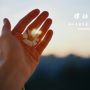 东野金考卷