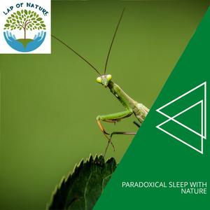 Twiterring Toad Trill