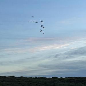 get me off this planet