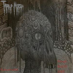 Morbid Care
