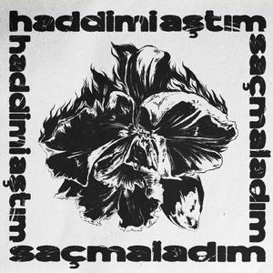 haddimi aştım saçmaladım