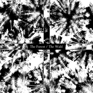 A Whisper In The Woods