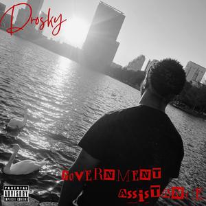 Government Assistance