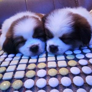 当我孤独的时候还可以抱着你