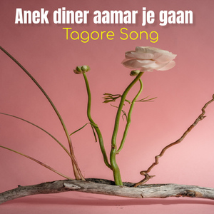 Anek diner aamar je gaan