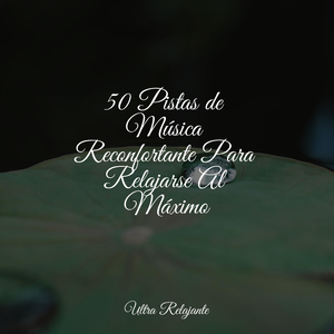 Trascendencia en Movimiento