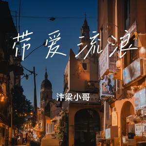 带爱流浪
