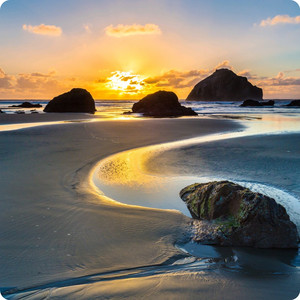 Serendipity's Symphony