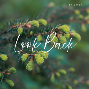 Look Back