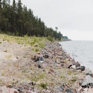 Torpor of Relationship