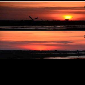 ร้องข้ามกำแพง