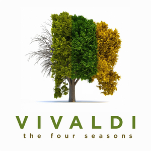 The Four Seasons: Violin Concerto in G Minor, Op. 8, No. 2, Rv 315 "L'estate" (Summer): I. Allegro Non Moto
