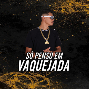 Só Penso em Vaquejada