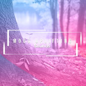 Concentration Regeration Alpha Waves