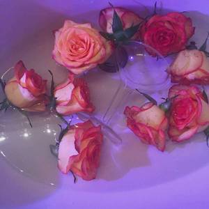 对你着迷（Prod.BirdS Of Feather）