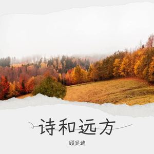 诗和远方