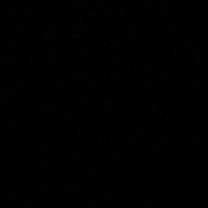 一首特殊的情歌