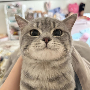 思念是墨晕开了沉默