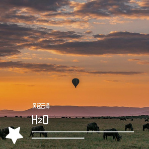 H₂O