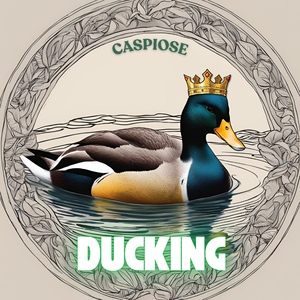 Ducking