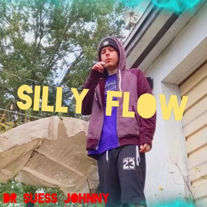 Silly Flow