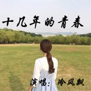 十几年的青春