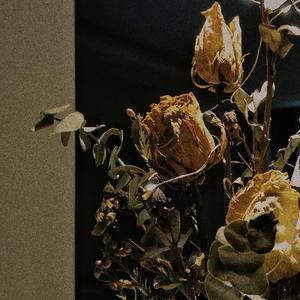 初恋情人是个鬼