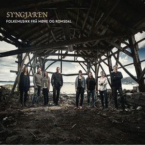 Kneppen, ein springar av Jens Synnes