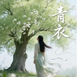 青衣 (大头针 Offoioil Remix)