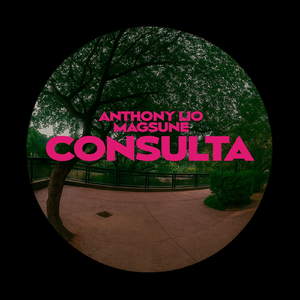 Consulta (feat. Magsune)