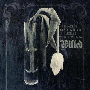 Psykiskt (för)Störd