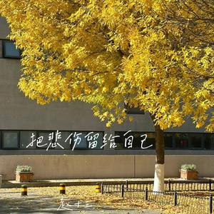 把悲伤留给自己