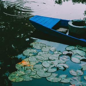 巾帼 (不良人原声带)