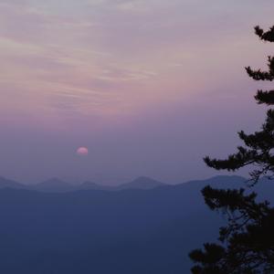 该怎么做才能够忘记你