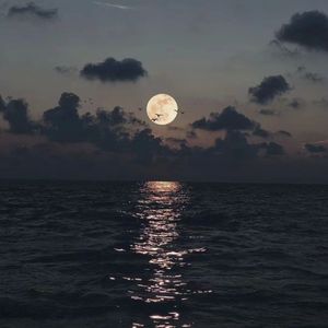 失爱者独白（Prod By FireX）