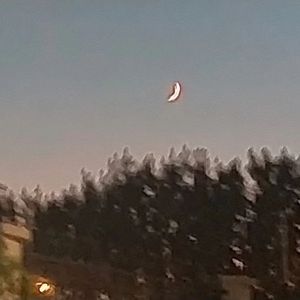 意难平 (Prod by w.w.)