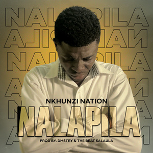Nalapila