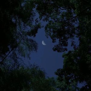 唱月（DJ小辞Remix）