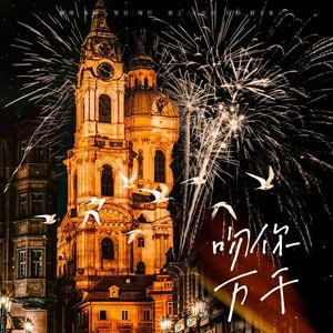 吻你万千（cover苇苇）