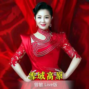 雪域高原(现场版)