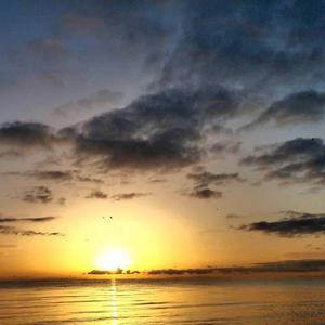 我很清楚我现在很爱你