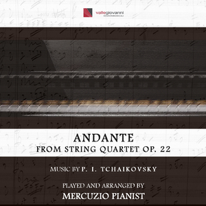 String Quartet No. 2, Op. 22, TH 122: III. Andante (Arr. for Piano)