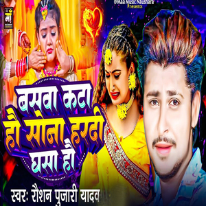 Baswa Kata Ho Sona Hardi Ghasa Ho