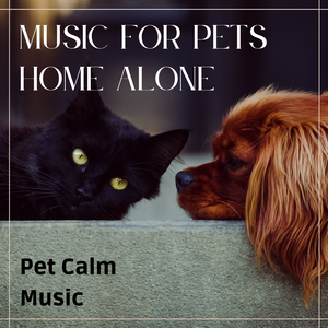 Pet Music World of Sounds