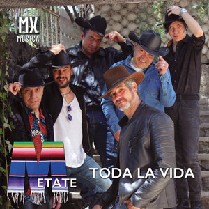 Toda La Vida